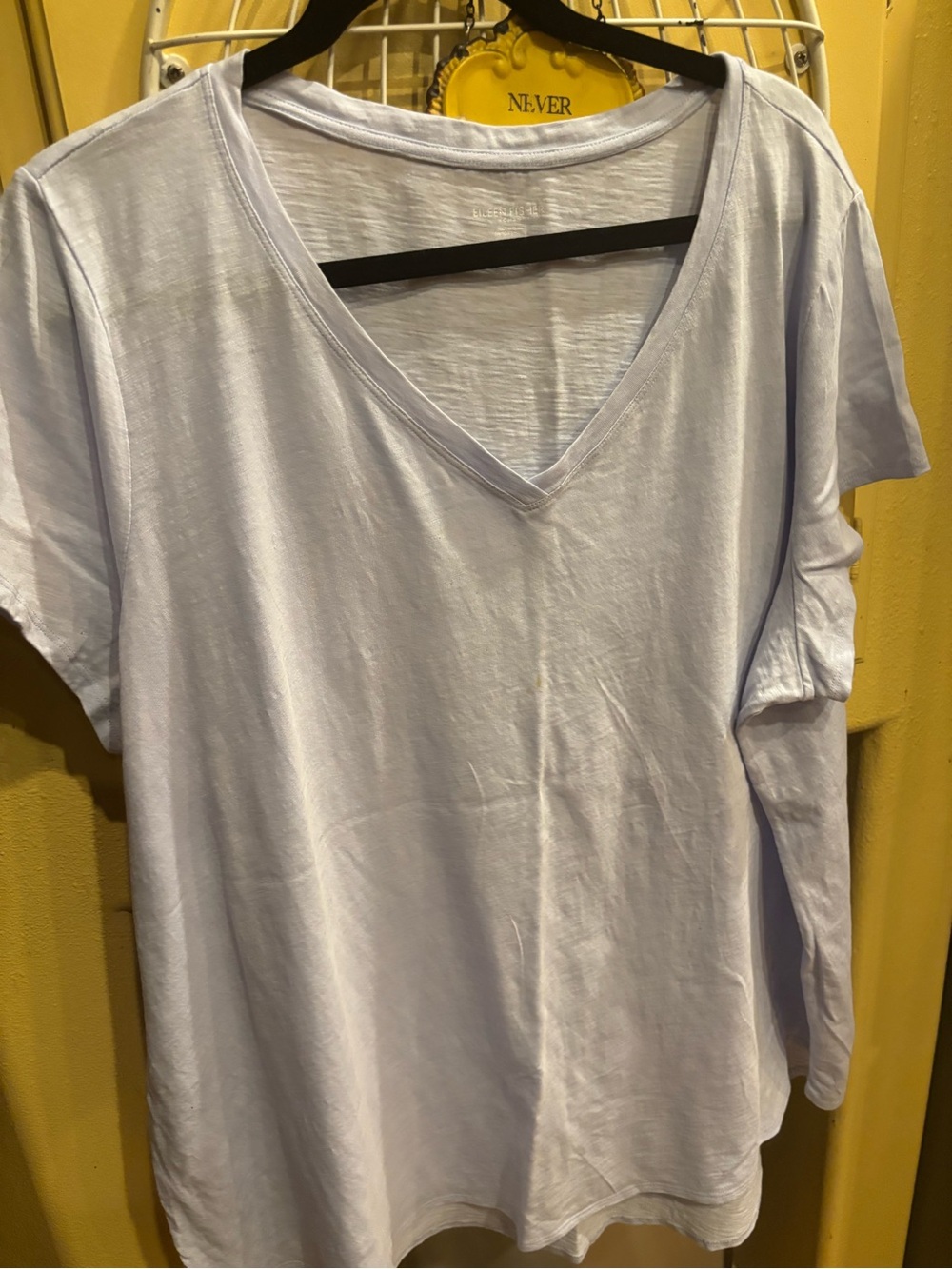 Eileen Fisher Light Blue V-Neck Short Sleeve Tee